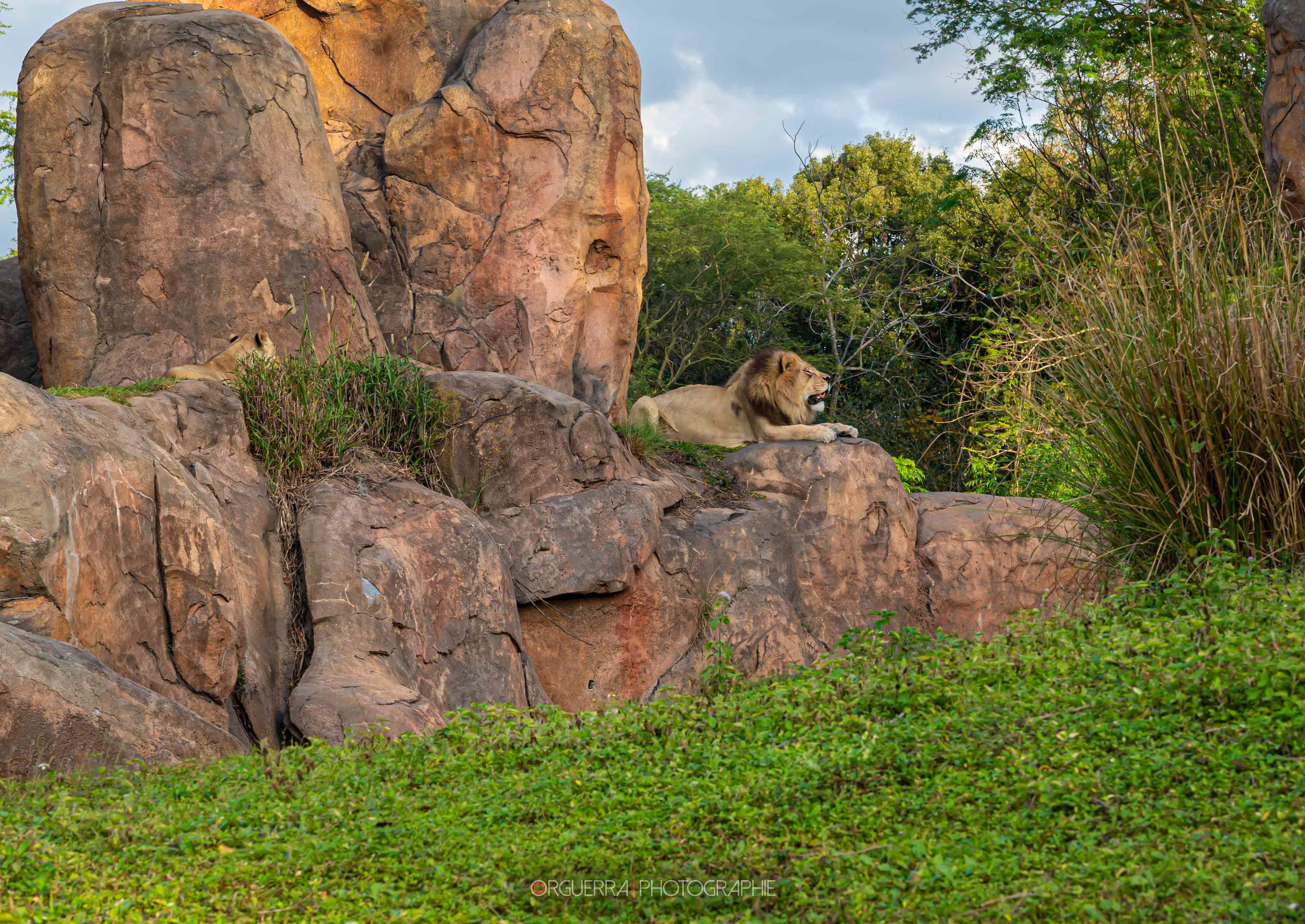 Magic Kingdom | Walt Disney World